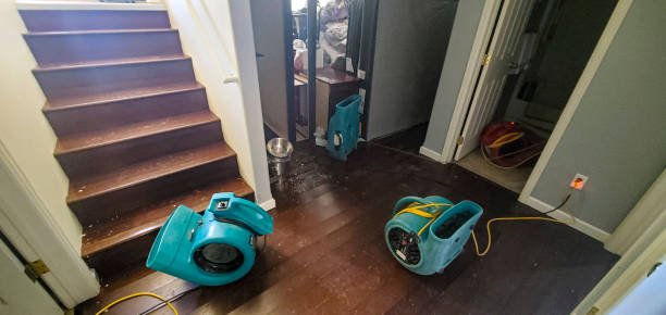 Best Water damage mitigation services  in Duquesne, MO