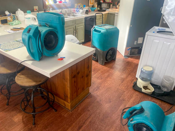 Best Carpet water damage restoration  in Duquesne, MO