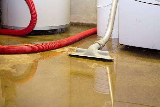 Best Fire Damage Restoration  in Duquesne, MO