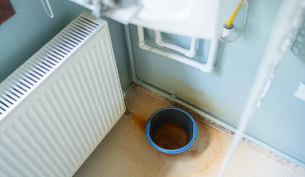 Best Water damage restoration near me  in Duquesne, MO