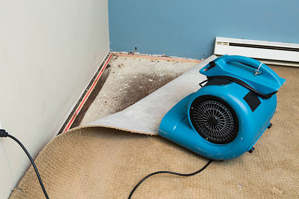 Best Water damage restoration near me  in Duquesne, MO